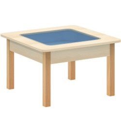 طاولة العلوم - الملاحظة 80*80*49سم