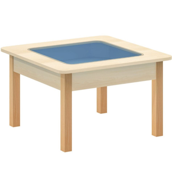 طاولة العلوم - الملاحظة 80*80*49سم