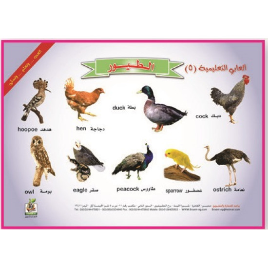 ألعابي التعليمية  " الطيور"، مقاس 33*23 سم 